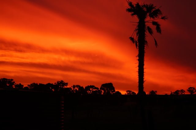 red sunset 2014.jpg